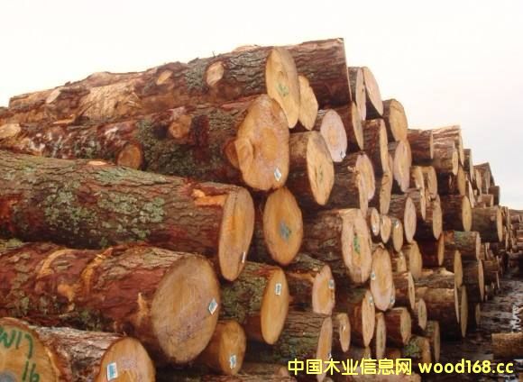 ӡ���������mԭľ�������M(j��n)���Ј� 2017�������^�m(x��)���L