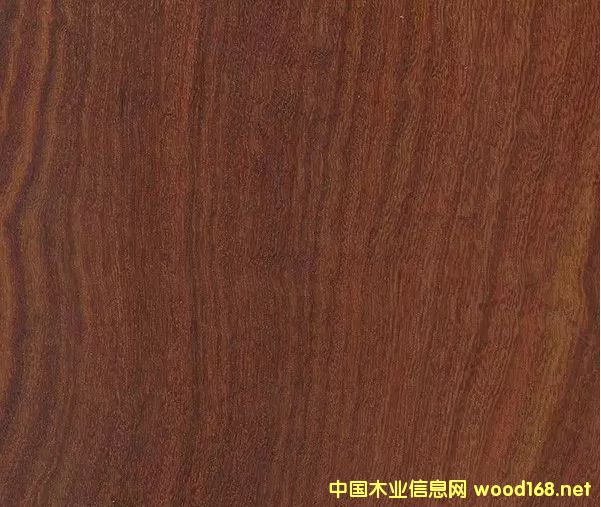 ľ�İٿƣ��t̴ľ���U���F������NԔ��