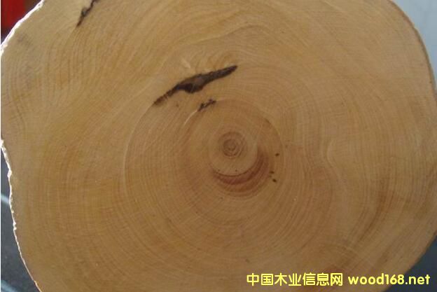 ����ľ���փ�(c��)--���²����ĺ�Ӣ������(du��)��