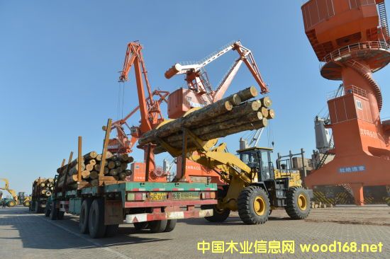 ���������Sľ�Ĵa�^ �������缉ľ�ļ�ɢ����