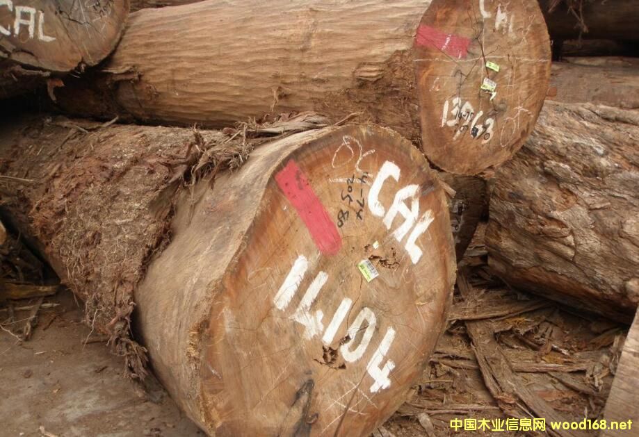 ���_�Tľ��-���ǹ���CAL��CL�� ԭľ