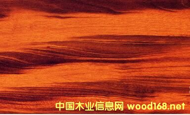 進(jìn)口木材詳解:斑紋漆木