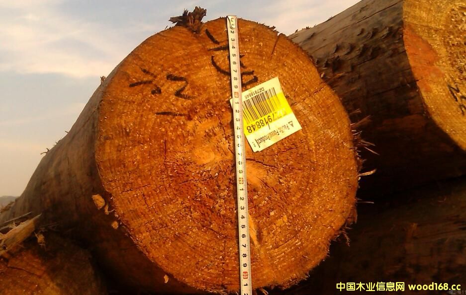 ľ���M(j��n)����ע�⣺ݗ���ɵ�ԭľ��(b��o)�P(gu��n)�¾��a��(du��)ľ�Ľ���ߴ������˅^(q��)