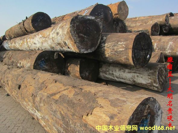 ľ�Ę�(sh��)�NԔ��--������  �׷Q������R������R