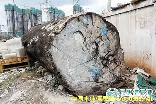 �����ٶɷ�Ժ�Ԍ����u1����������ľ ���ăr(ji��)48�f(w��n)Ԫ