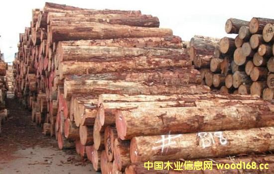 �����mݗ����ԭľ���m(x��)�q�r������(n��i)�����Ј�����������