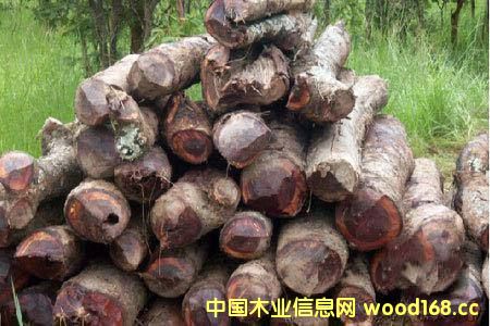 ���޲ļ������S�ݡ� ���������������ȁ���ٝ�ȁ����^��ֹԭľ��