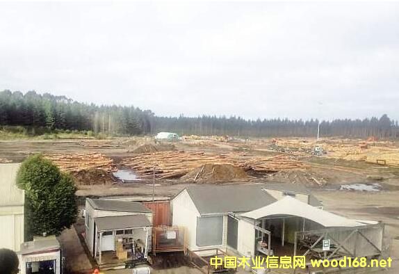 �B�T���Q(m��o)�ث@�����mľ�Ĺ���(y��ng)ӆ�� ��Ҏ(gu��)���֘I(y��)Ͷ�Y