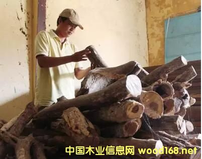 ���H�tľ�^�죺Խ����̴��ľ�Ľ��׷N���Ŀ��