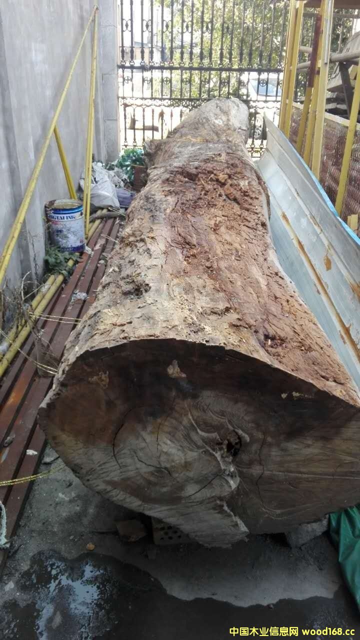 ��������200Ԫ���ԡ���(l��i)��ľ�^��3���Ȼ�u��168�f(w��n)Ԫ����