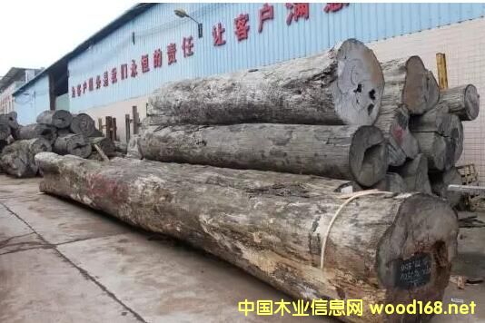 �����^(gu��n)���tľ�Ј�(ch��ng)���L(f��ng)ӛ�������(l��i)ľ�ăr(ji��)���q