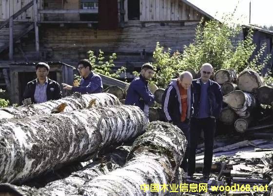 ���_˹�ט�ԭľ