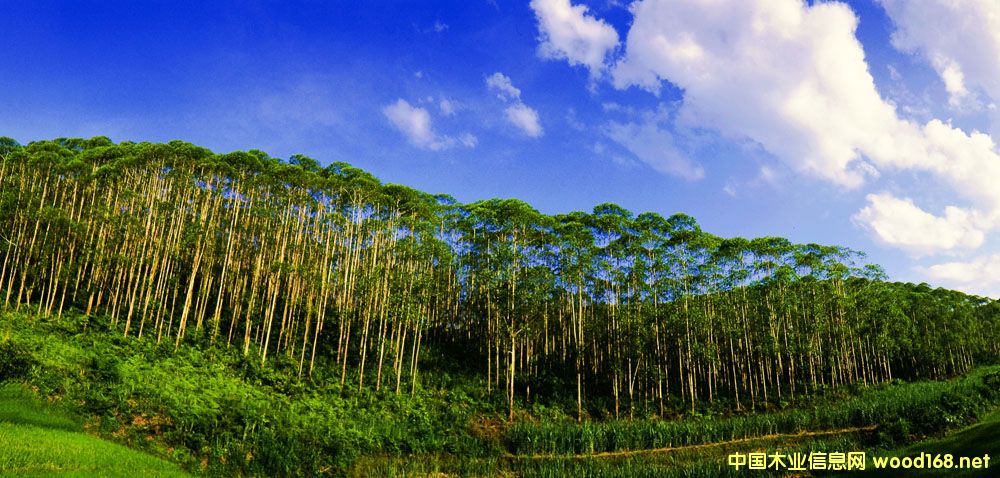 �������˹���׌�z�ϰ����a(ch��n)����һ���_