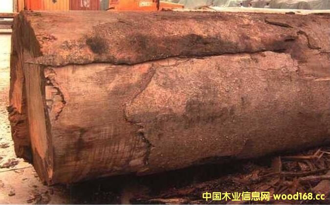 �M(j��n)��ľ��-����ɼľ