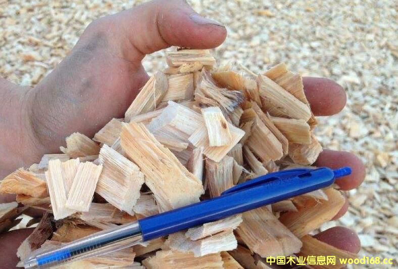 �҇�ľƬ���Q(m��o)�΄���� 2017��ľƬ�M�ڔ�(sh��)����������