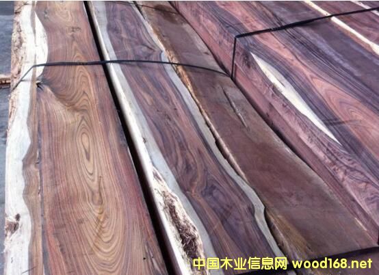 �Ј��^�죺�l�y��ľ���������ش��N���»�