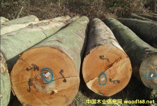 �W��ľ�ĺ��\(y��n)�M(f��i)�����������Ƿ�߀�и�����(y��u)�ݣ�