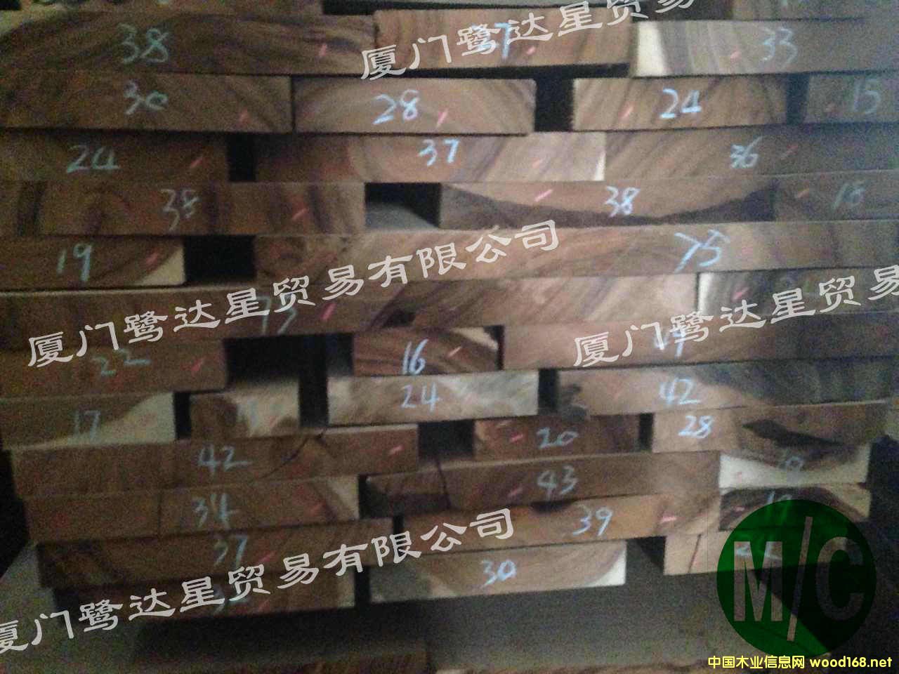 ��������ľ-b3