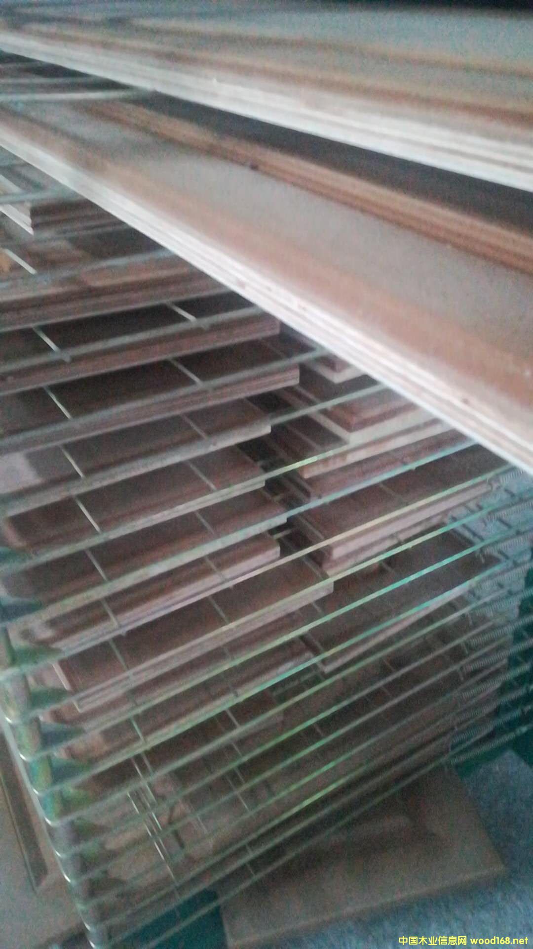 ���ӏ�(f��)�ϵ�̰�