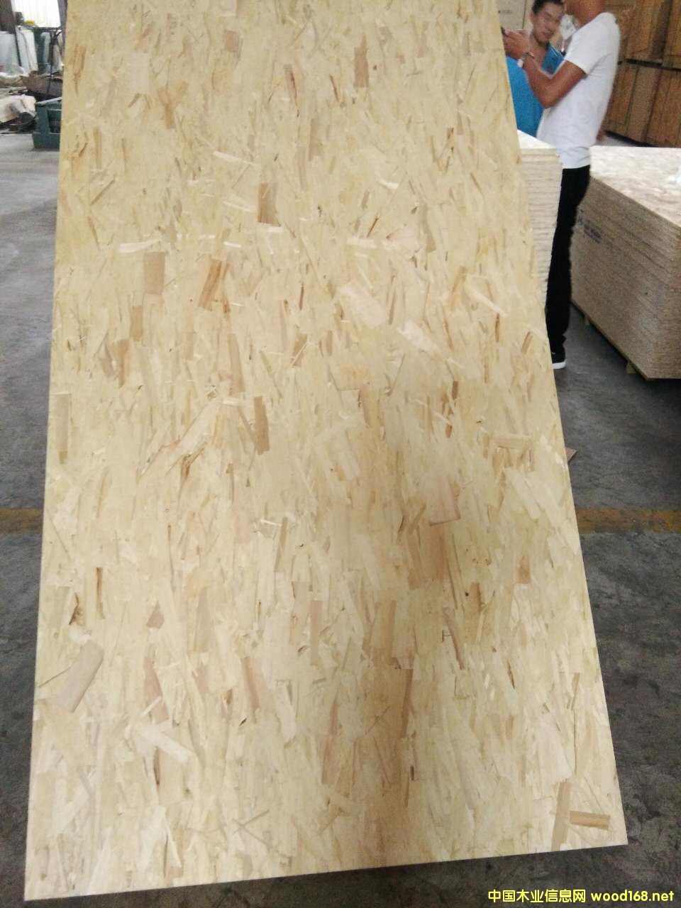 [��] ALLFLYȫ��ľ�o(w��)ȩ��(j��)OSB �W�ɰ�