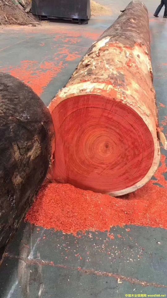 �t������������̴