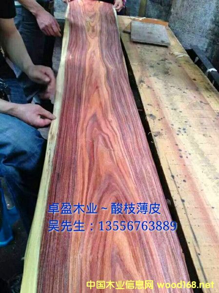 0.3MM ��֦ľƤ��Ԕ��(x��)��B