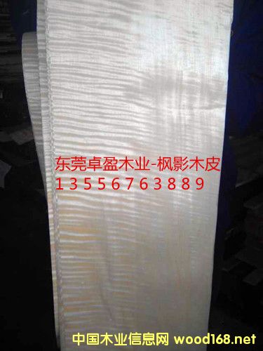 ��ӰľƤ��10�z��20�z��30�z����Ԕ��(x��)��B