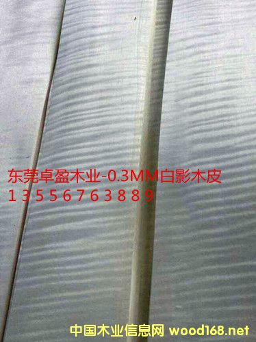 0.3��ӰľƤ����ӰľƤ�����Ԕ��(x��)��B