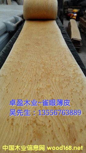 ��ľȸ��ľƤ��Ԕ��(x��)��B