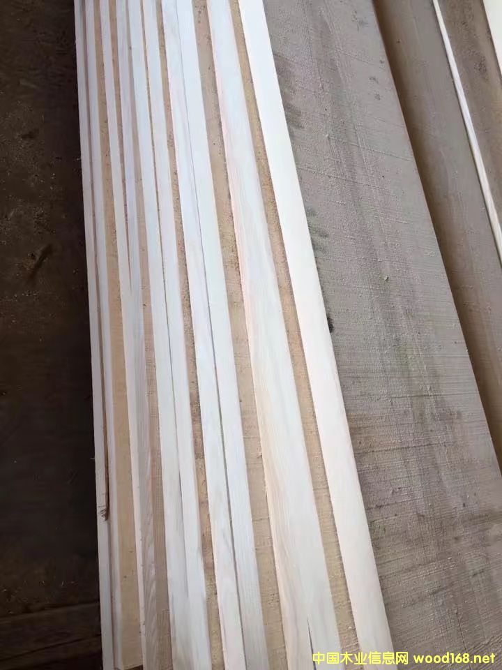 ������(y��u)�|(zh��)��Ϟľ