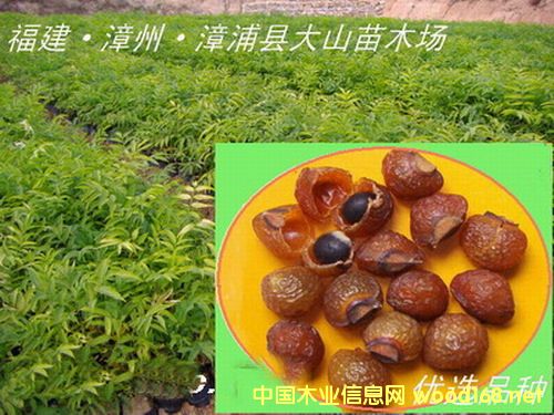 �o(w��)������