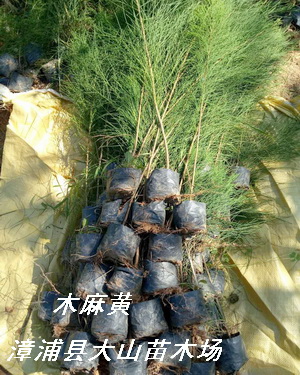 ľ���S���Ԕ��(x��)��B