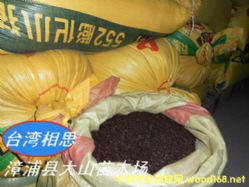 �ζ���N�ӳ��vľ�N��