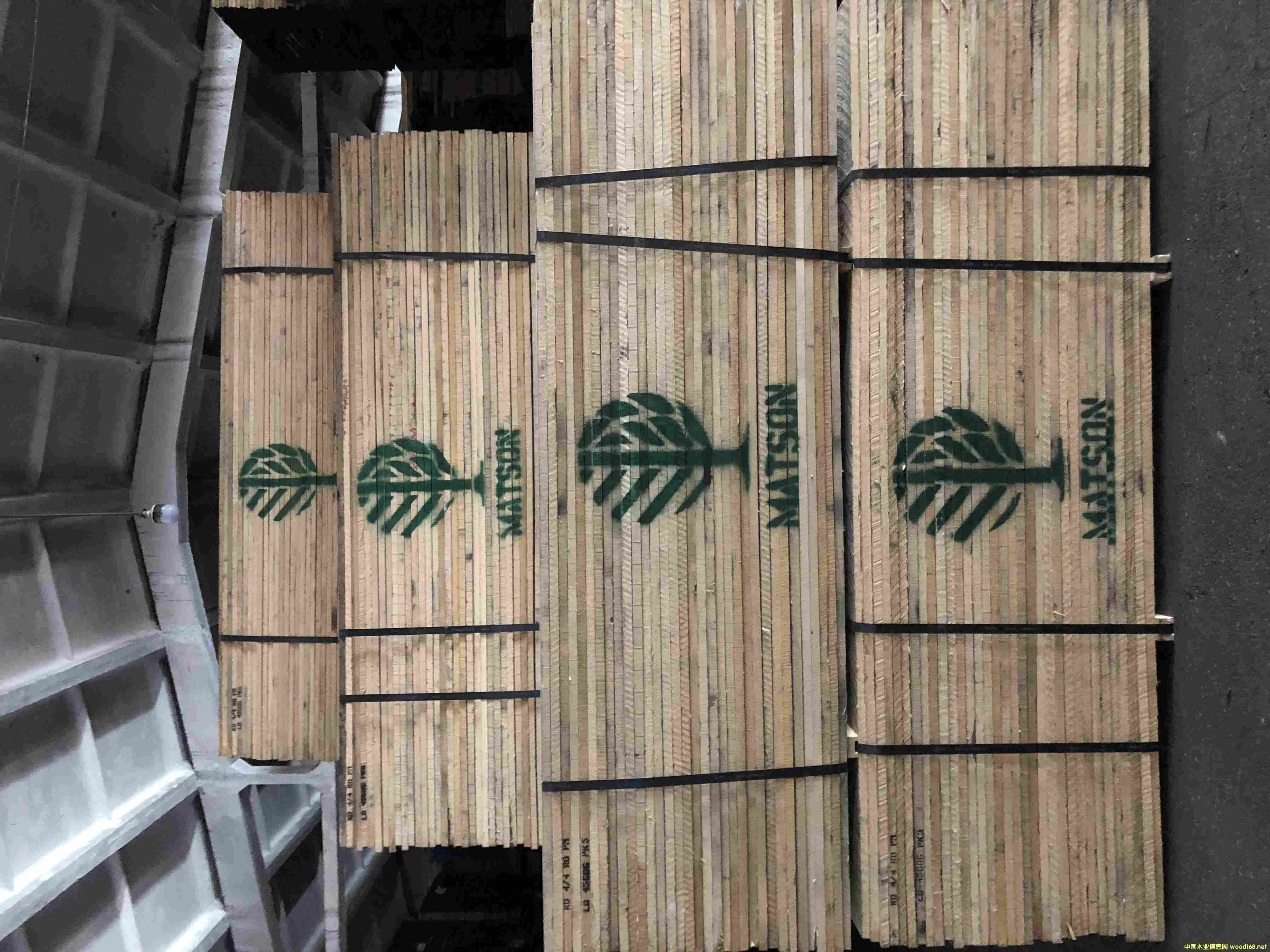 ��ɭ�t��ľ��Ԕ����B