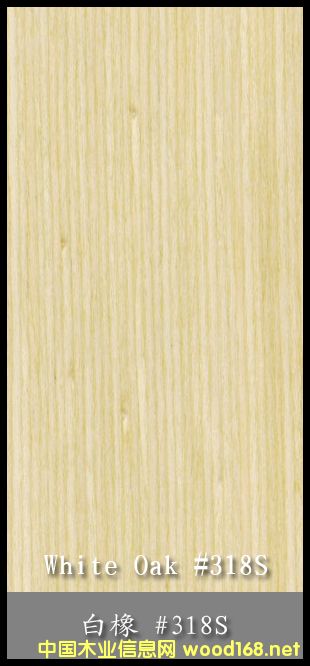 白橡的詳細介紹