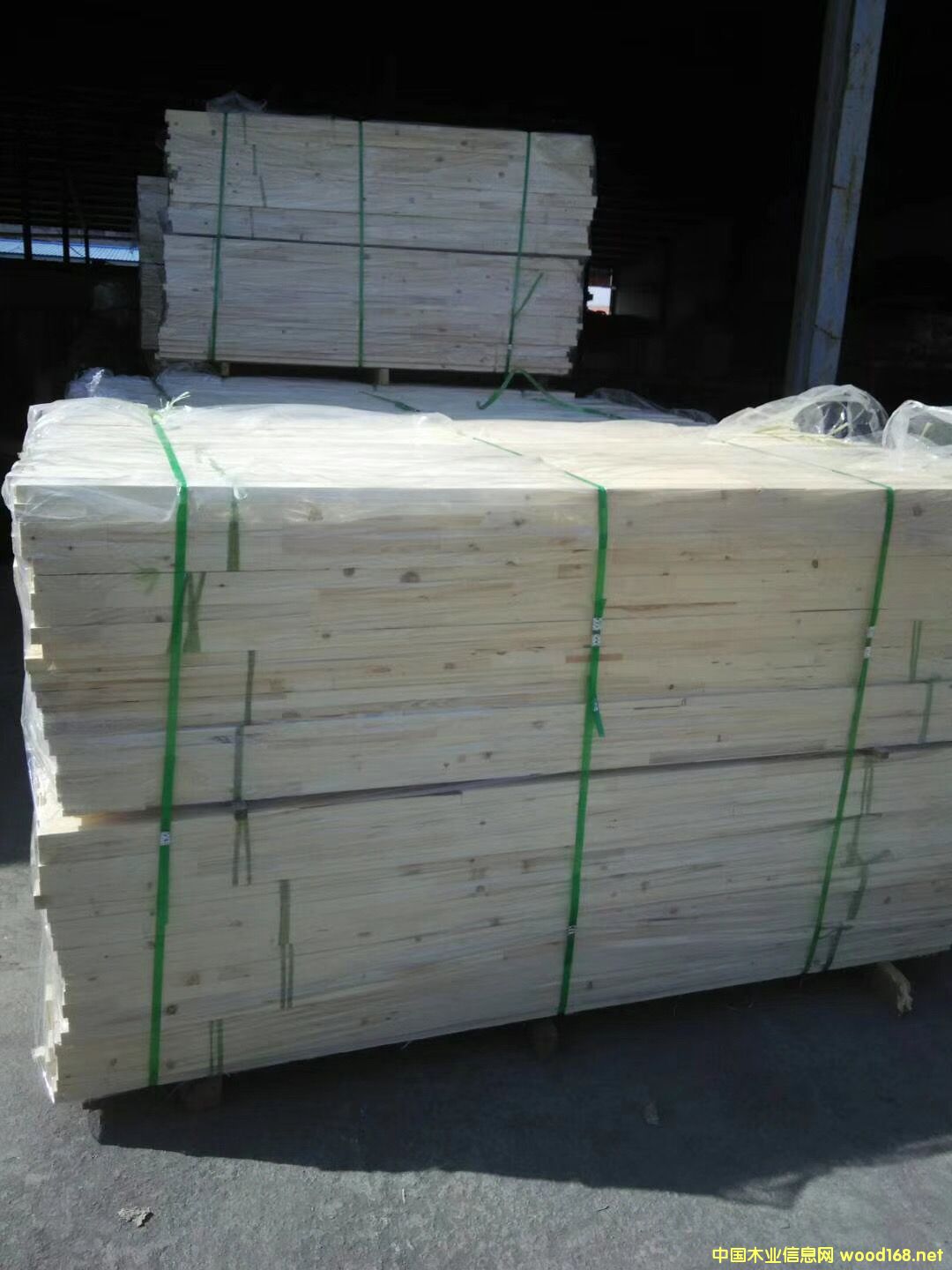 ָ���T�� ƴ�Ӱ� �T�װ�