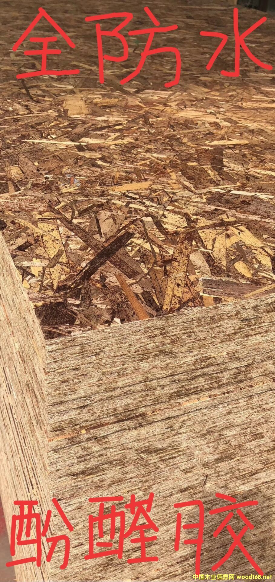 [��] ɽ�|��(y��u)��ľ�I(y��)���޹�˾����(y��ng)osb�W�ɰ��ٻ���