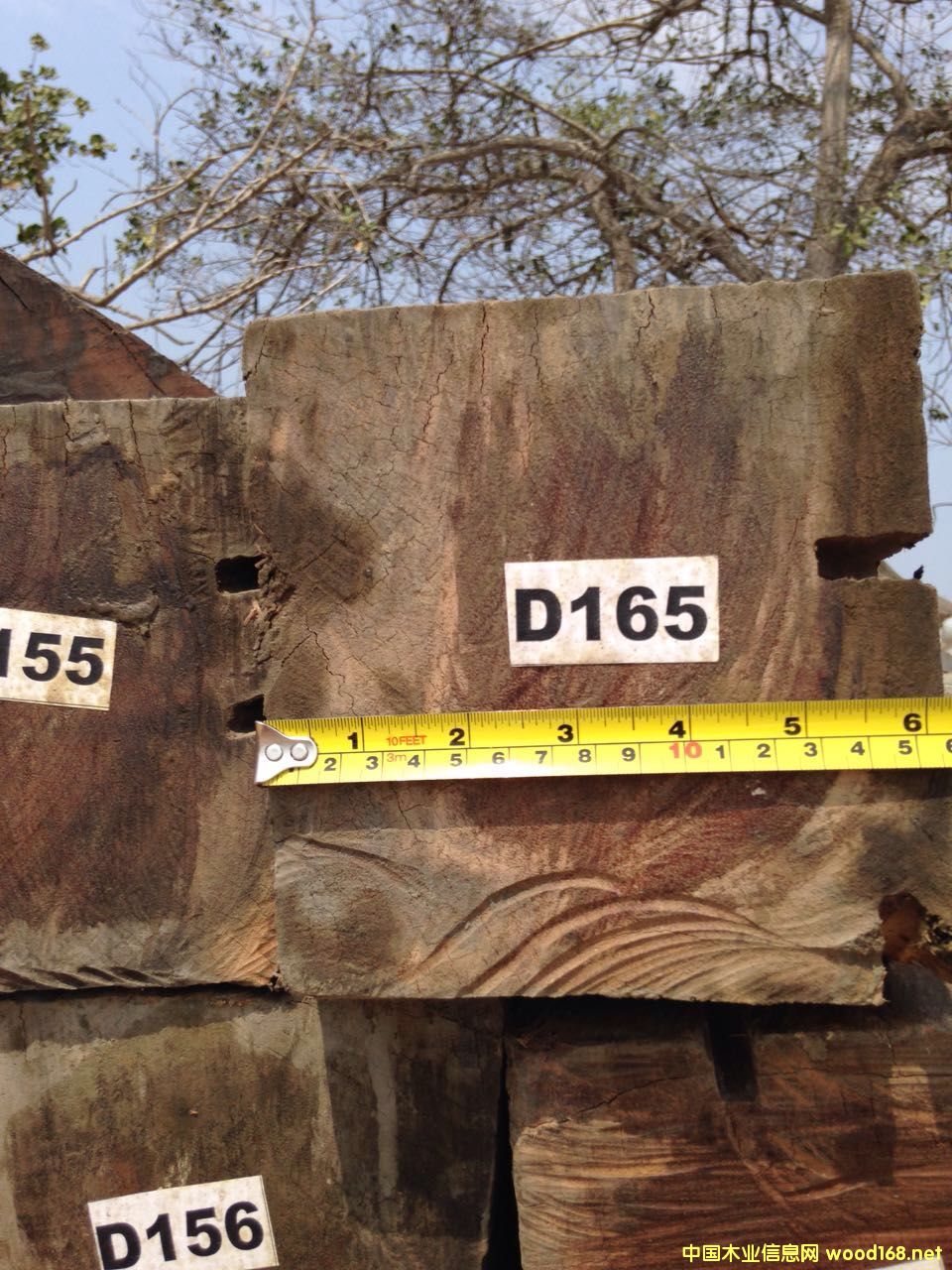 С���� ���ᶹ ��Ԕ����B