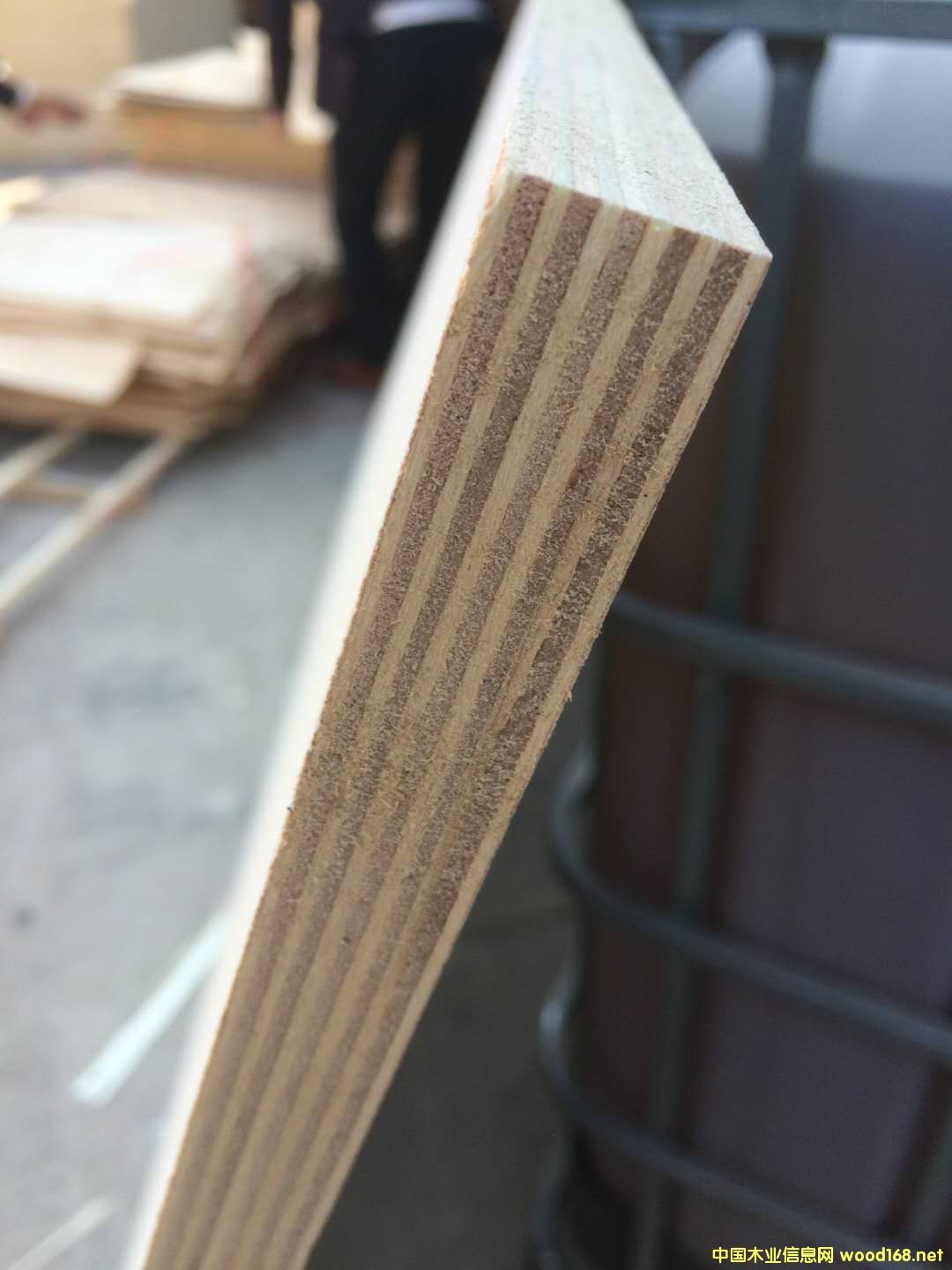 [��] 18�� 16�� 15�������