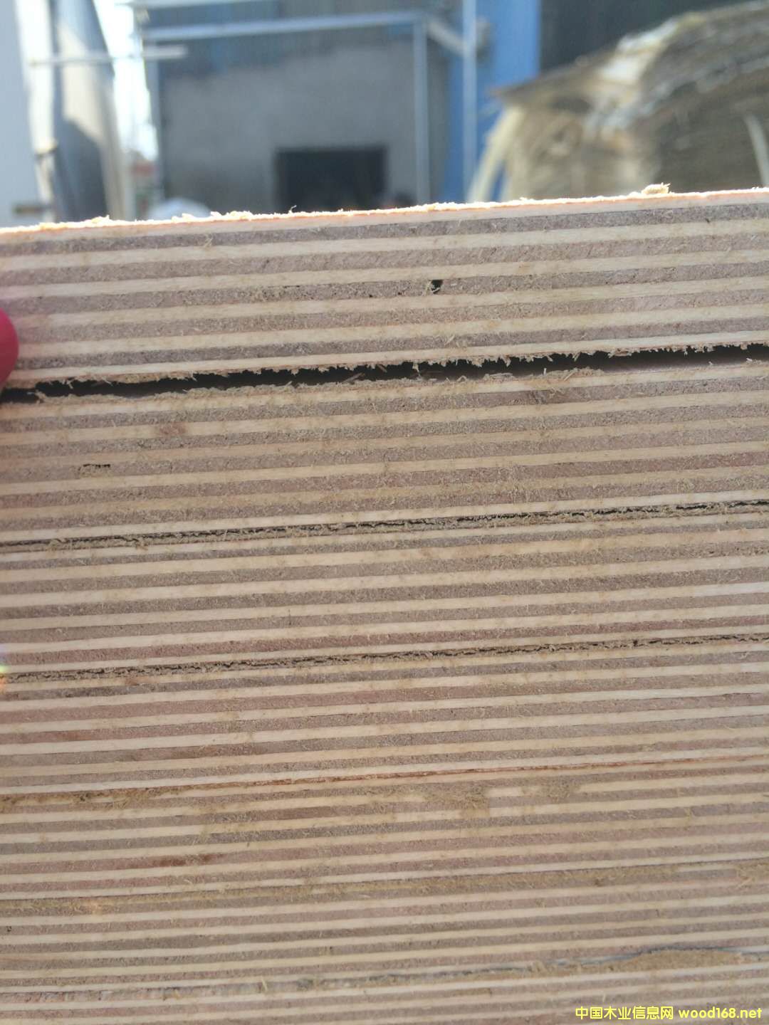 [��] �R�ʸߙn����� ���B(t��i)�� �Ҿ߰�