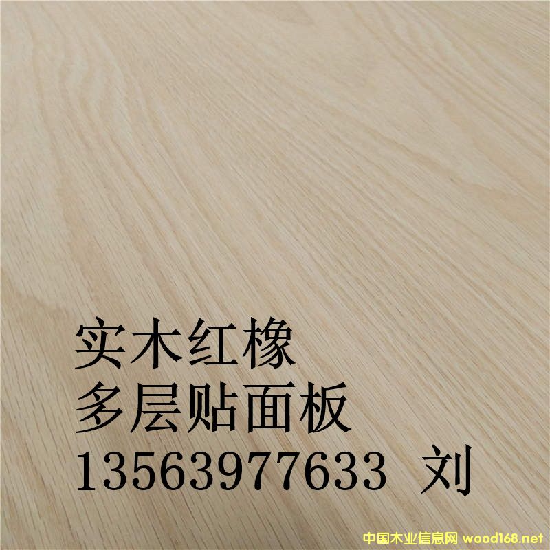 �t��Ҿ߰��Ԕ��(x��)��B