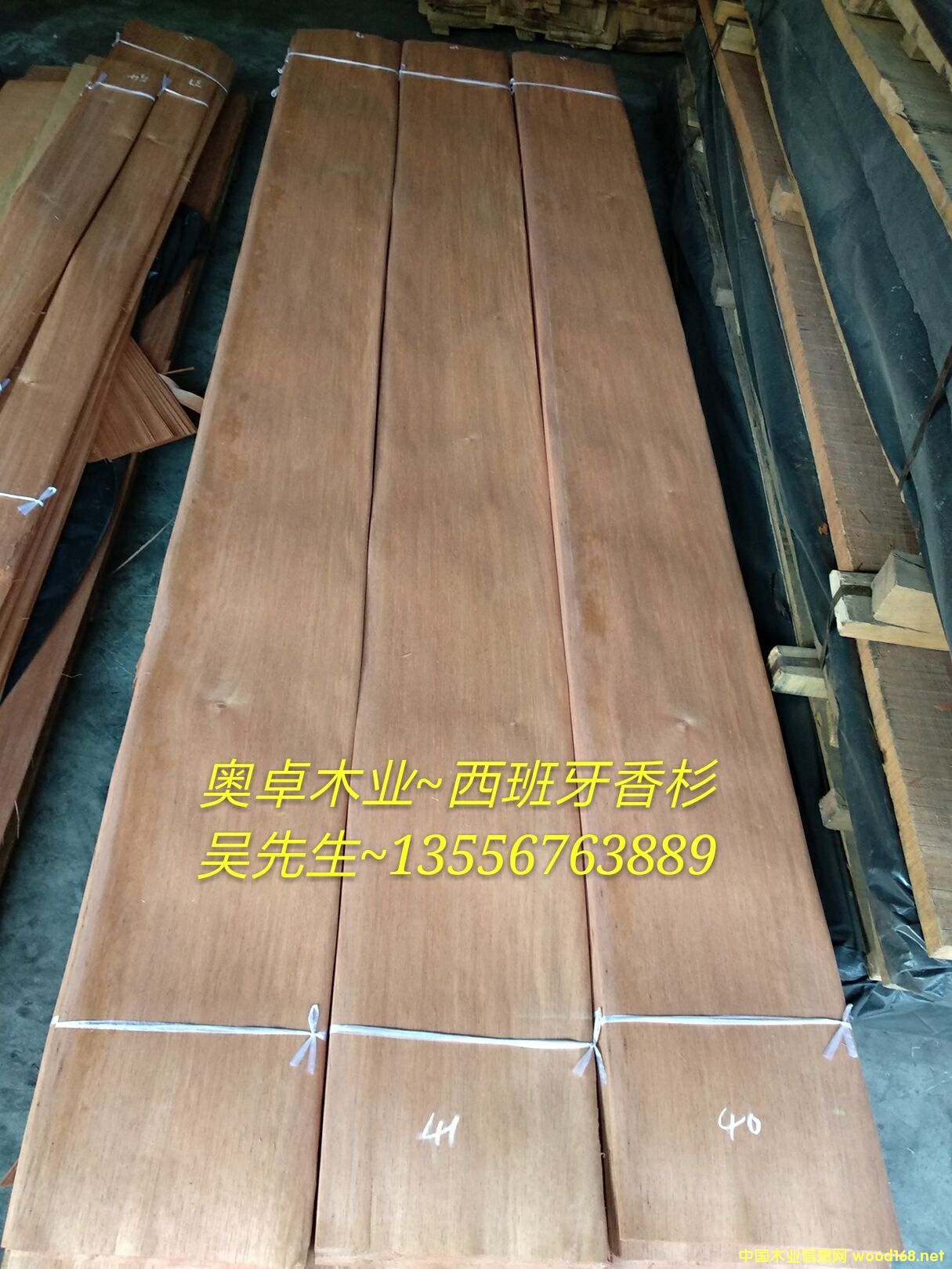 [��] ��������ɼ��������ѩ��������ľƤ