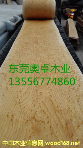 ȸ��ľƤ����