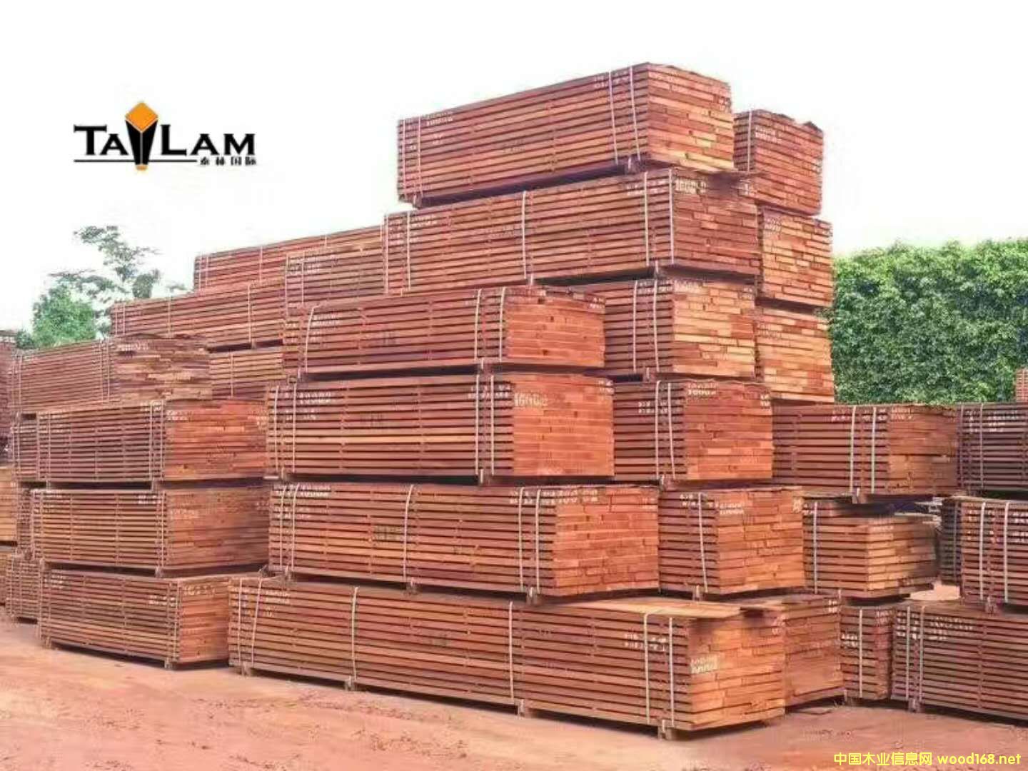 [��] ɳ����