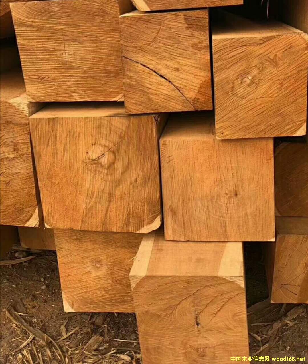 ������ľ����