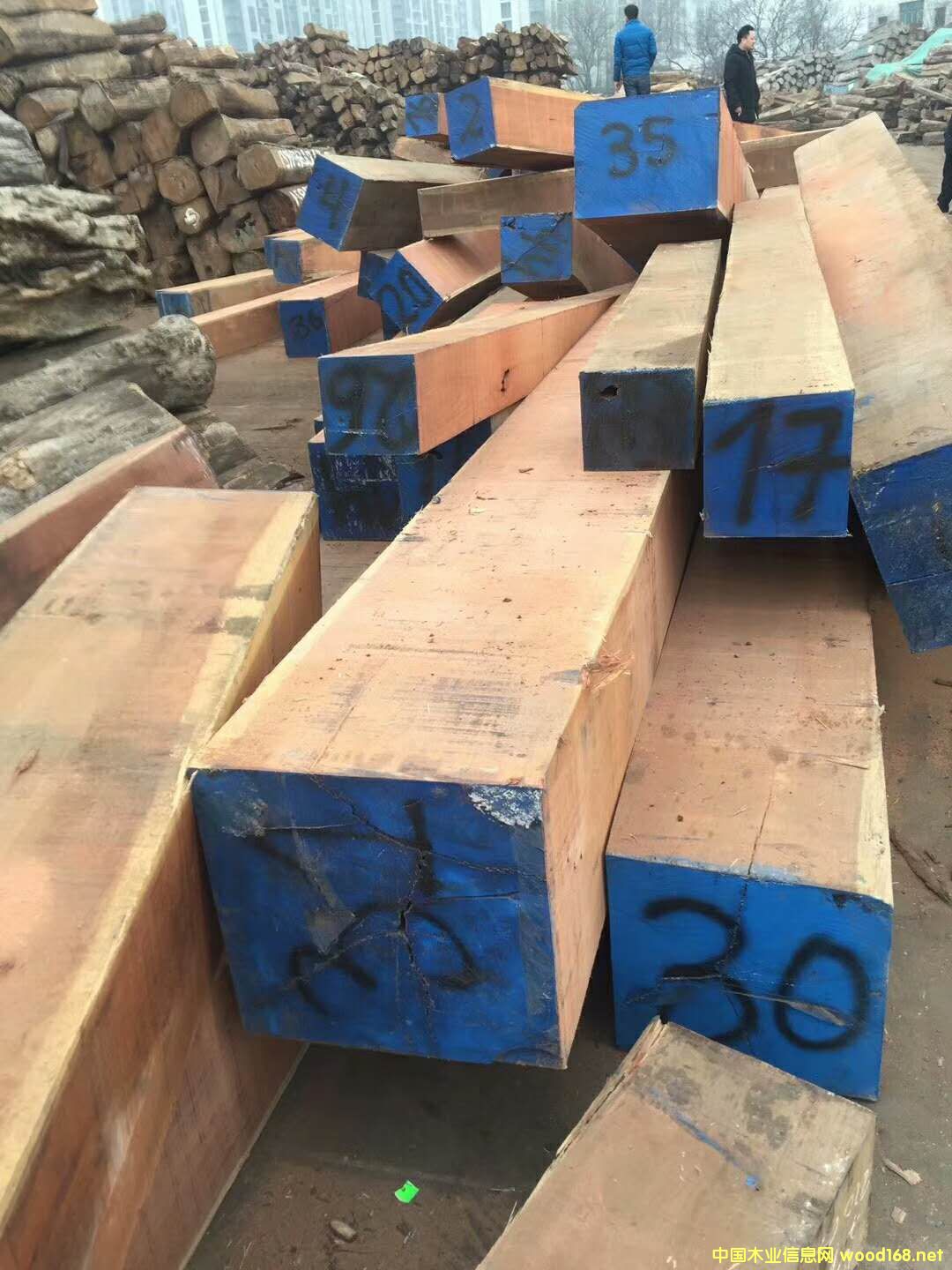 [��] ��������