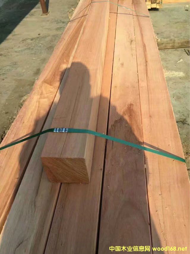 �R���̲�