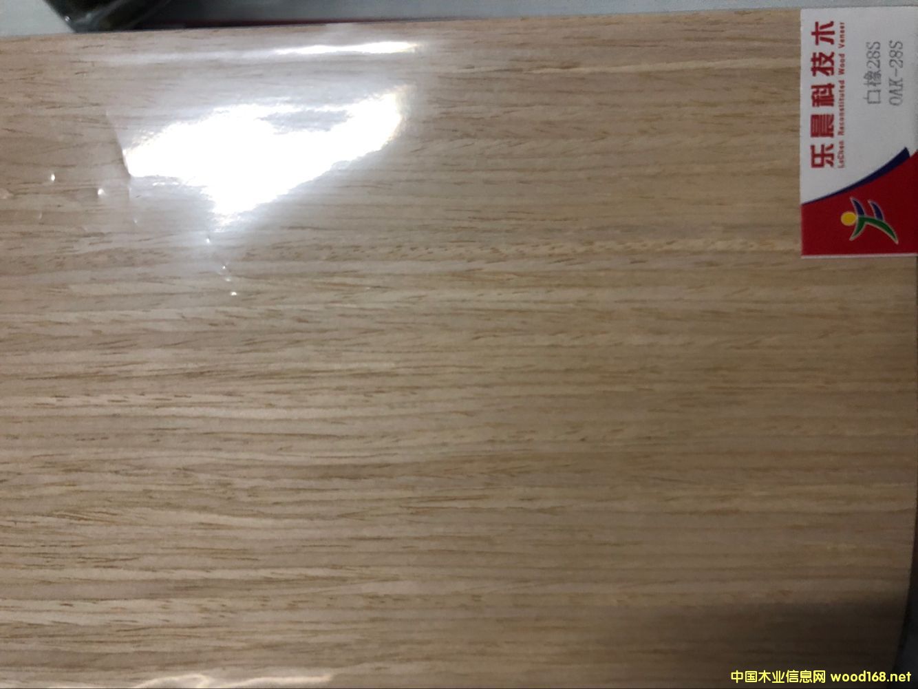 ����28S��Ԕ��(x��)��B