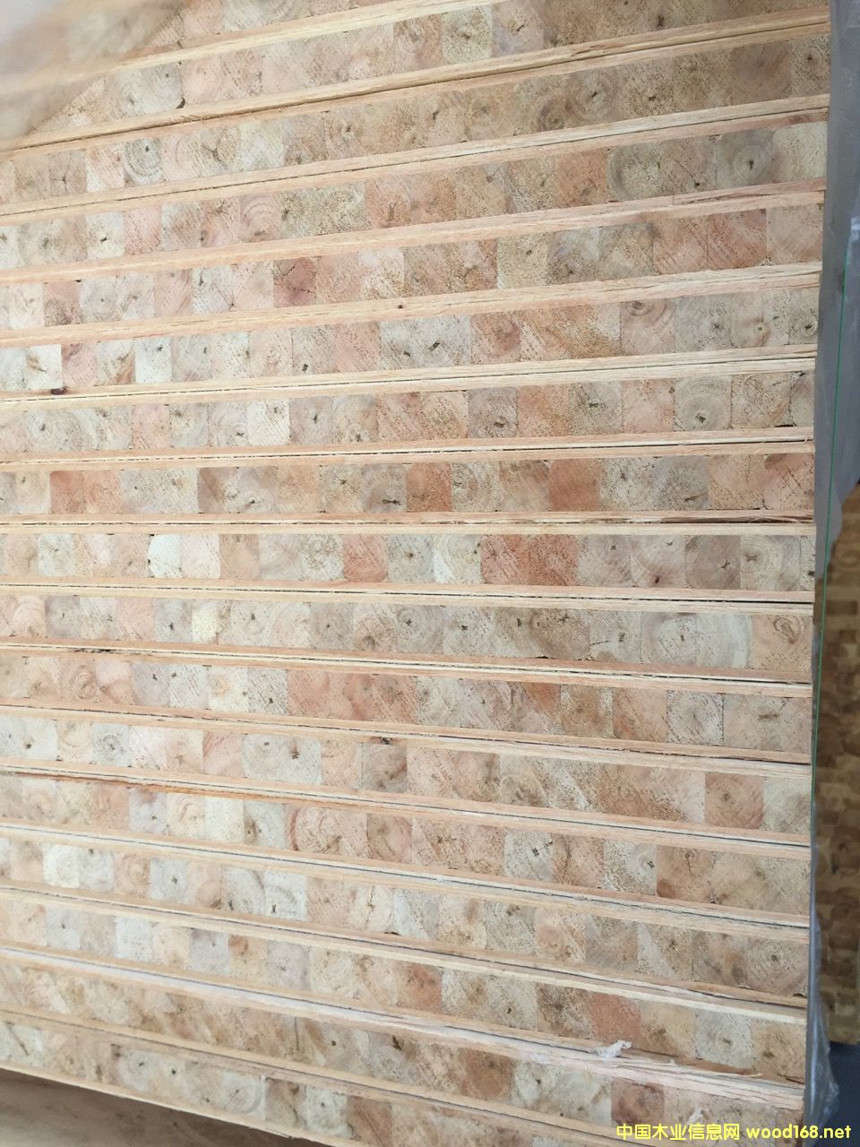 �T�װ���ľо