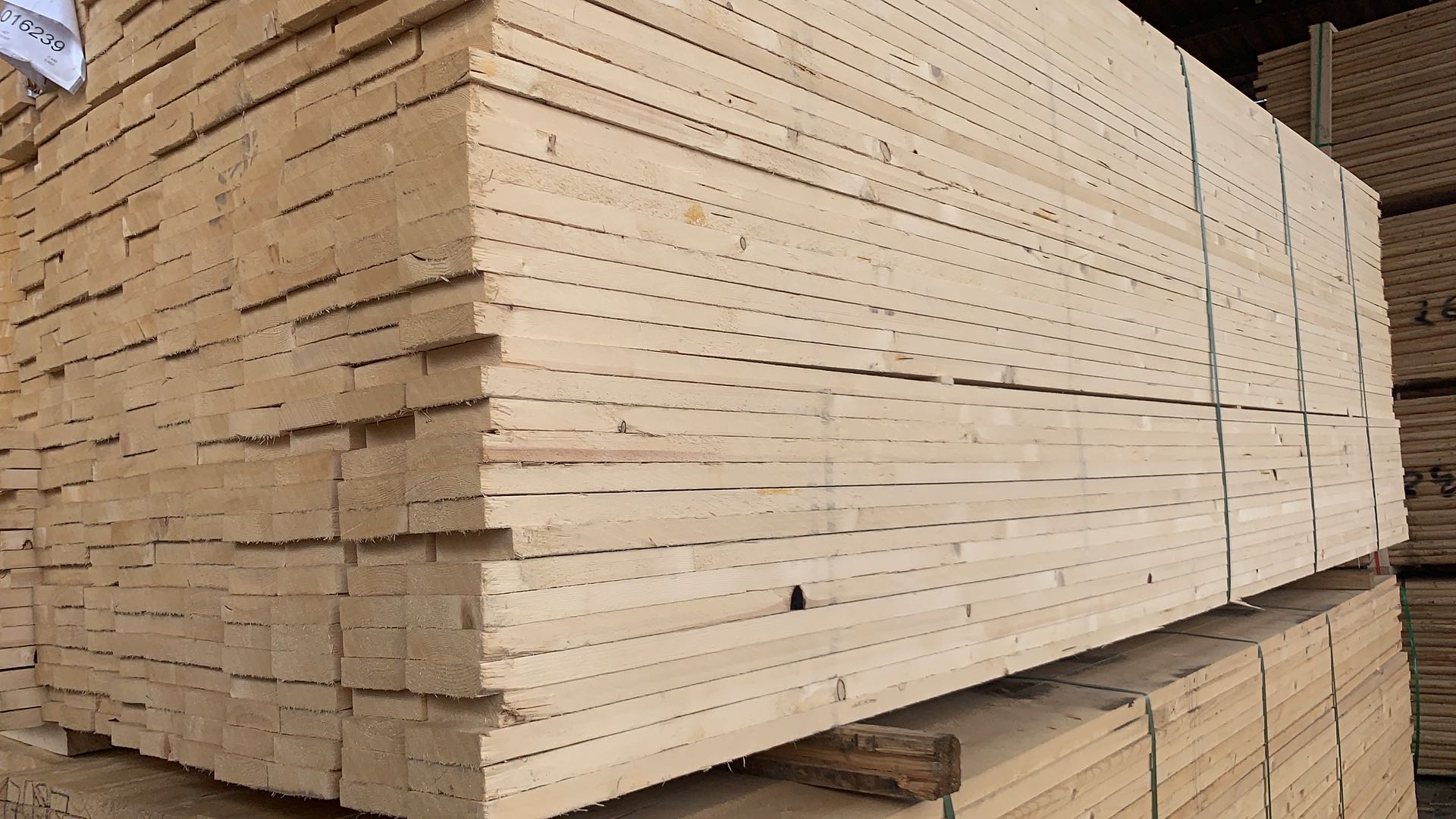 ���_˹���ɰ��